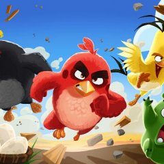 Angry birds
