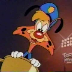 Bonkers