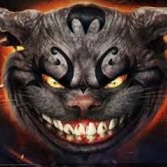 Cat time