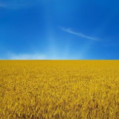 Цуруфоу
