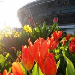 Доброе утро Донецк