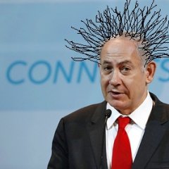 Еврейский одуванчик
