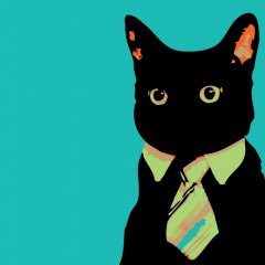 Котэ в шоке