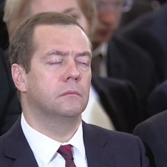 Медведев сонный