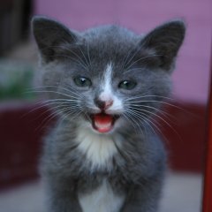 Милаха