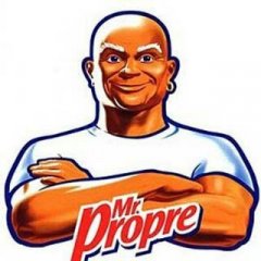 Мистер пропер