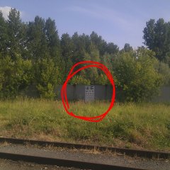 Окулист