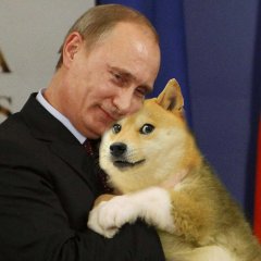 Путин и SAD DOGE обнимаются