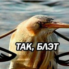 Так блэт лицо