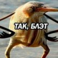 Так блэт