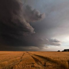 The black cloud is approaching