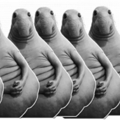 Ждуны
