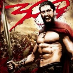256
