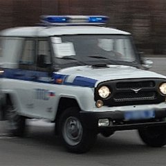 Бобик спешит