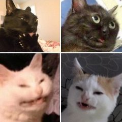Дохуя