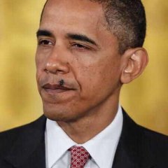 Fly on the face Barack obamy