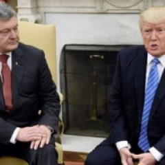 Лиса Порошенко