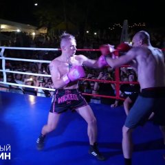 Мопс против мартыненка