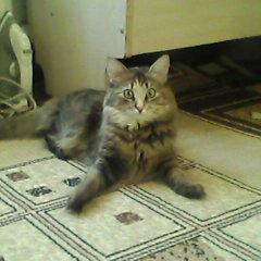 Мой дом