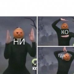 Ни ко гда