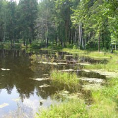 Озера