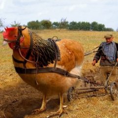 Препинания