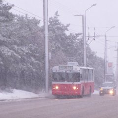 Трал