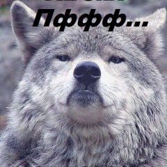 Волчок