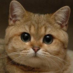 А ты работай