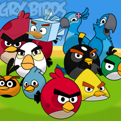 Angry birds