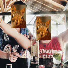 Белки