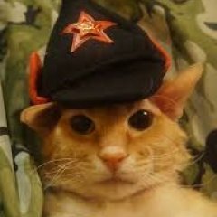 Большевик