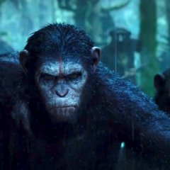 Caesar the Monkey