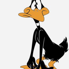 Duck Cartoon