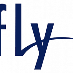 Fly