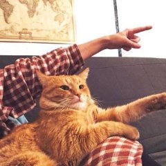Fuck that over there
