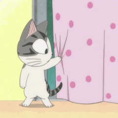 Котик
