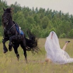 Лошадь