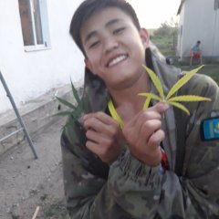 Осенняя травка