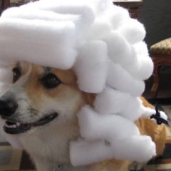 ПУк
