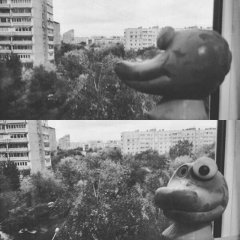Задонатил