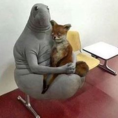123