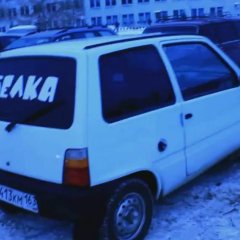 Белка приехала