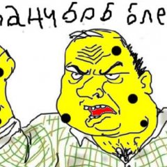 Боб губка