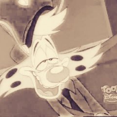 Bonkers