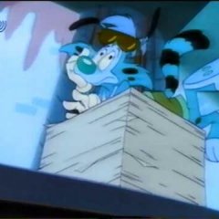 Bonkers