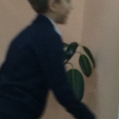 Бугдын