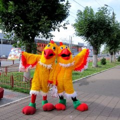 Чикенхауз