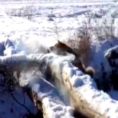 Это фиаско братан