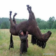 Конекоен